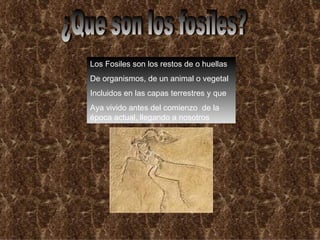 ¿Que son los fosiles? Los Fosiles son los restos de o huellas De organismos, de un animal o vegetal Incluidos en las capas terrestres y que Aya vivido antes del comienzo de la época actual, llegando a nosotros