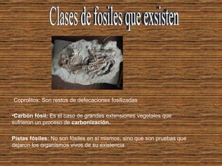 Clases de fosiles que exsisten Coprolitos: Son restos de defecaciones fosilizadas Carbón fósil: Es el caso de grandes extensiones vegetales que sufrieron un proceso de carbonización. Pistas fósiles: No son fósiles en sí mismos, sino que son pruebas que dejaron los organismos vivos de su existencia