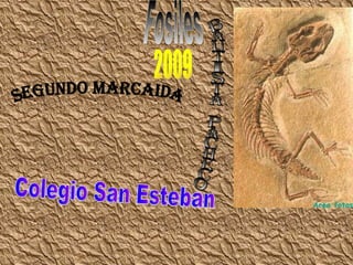 Fosiles 2009 Segundo marcaida Bautista pacheco Colegio San Esteban 