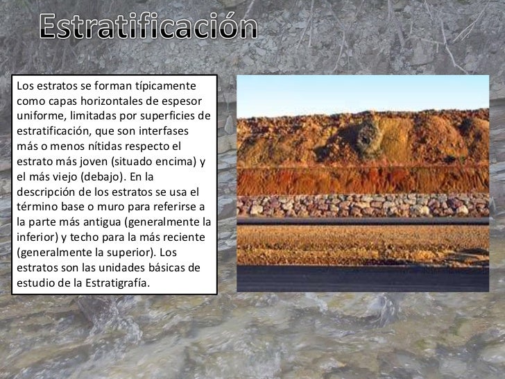 Fósiles Fósiles