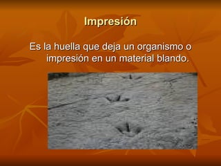 Impresión Es la huella que deja un organismo o impresión en un material blando. 
