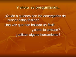 Y ahora  se  preguntarán .. ¿ Quién o quienes son los encargados de buscar éstos fósiles? Una vez que han hallado un fósil: ¿cómo lo extraen? ¿utilizan alguna herramienta? 