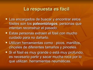 La respuesta es fácil Los encargados de buscar y encontrar estos fósiles son los  paleontólogos , personas que intentan reconstruir el pasado. Estas personas extraen el fósil con mucho cuidado para no dañarlo. Utilizan herramientas como : picos, martillos, cinceles de diferentes tamaños y pinceles. Si el fósil es muy grande o está muy profundo, es necesario partir y sacar mucha roca por lo que utilizan  herramientas neumáticas. 