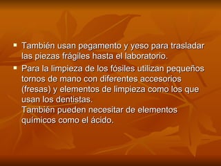 También usan pegamento y yeso para trasladar las piezas frágiles hasta el laboratorio. Para la limpieza de los fósiles utilizan pequeños tornos de mano con diferentes accesorios (fresas) y elementos de limpieza como los que usan los dentistas. También pueden necesitar de elementos químicos como el ácido. 