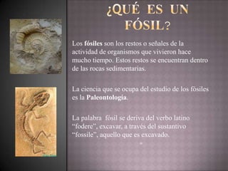 Los fósiles son los restos o señales de la
actividad de organismos que vivieron hace
mucho tiempo. Estos restos se encuentran dentro
de las rocas sedimentarias.

La ciencia que se ocupa del estudio de los fósiles
es la Paleontología.

La palabra fósil se deriva del verbo latino
“fodere”, excavar, a través del sustantivo
“fossile”, aquello que es excavado.
                         º
 