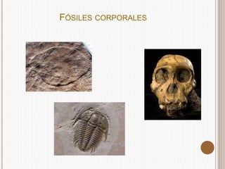 FÓSILES CORPORALES