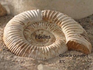 Fósiles
Daniela González
8°C
 
