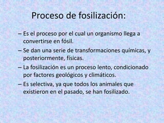 fuFósiles