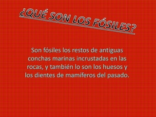 Son fósiles los restos de antiguas
conchas marinas incrustadas en las
rocas, y también lo son los huesos y
los dientes de mamíferos del pasado.
 
