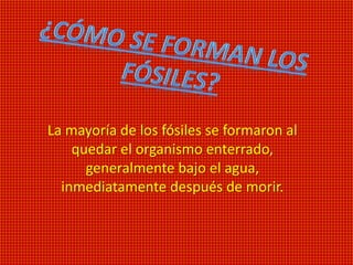 La mayoría de los fósiles se formaron al
quedar el organismo enterrado,
generalmente bajo el agua,
inmediatamente después de morir.
 