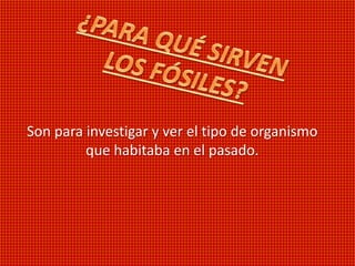 Son para investigar y ver el tipo de organismo
que habitaba en el pasado.
 