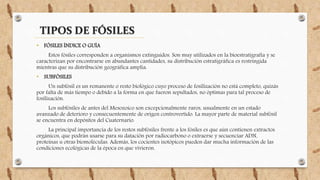 TIPOS DE FÓSILES
• FÓSILES ÍNDICE O GUÍA
Estos fósiles corresponden a organismos extinguidos. Son muy utilizados en la bioestratigrafía y se
caracterizan por encontrarse en abundantes cantidades, su distribución estratigráfica es restringida
mientras que su distribución geográfica amplia.
• SUBFÓSILES
Un subfósil es un remanente o resto biológico cuyo proceso de fosilización no está completo, quizás
por falta de más tiempo o debido a la forma en que fueron sepultados, no óptimas para tal proceso de
fosilización.
Los subfósiles de antes del Mesozoico son excepcionalmente raros, usualmente en un estado
avanzado de deterioro y consecuentemente de origen controvertido. La mayor parte de material subfósil
se encuentra en depósitos del Cuaternario.
La principal importancia de los restos subfósiles frente a los fósiles es que aún contienen extractos
orgánicos, que podrán usarse para su datación por radiocarbono o extraerse y secuenciar ADN,
proteínas u otras biomoléculas. Además, los cocientes isotópicos pueden dar mucha información de las
condiciones ecológicas de la época en que vivieron.
 