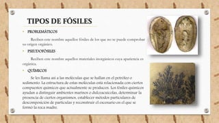 TIPOS DE FÓSILES
• PROBLEMÁTICOS
Reciben este nombre aquellos fósiles de los que no se puede comprobar
su origen orgánico.
• PSEUDOFÓSILES
Reciben este nombre aquellos materiales inorgánicos cuya apariencia es
orgánica.
• QUÍMICOS
Se les llama así a las moléculas que se hallan en el petróleo o
sedimento. La estructura de estas moléculas está relacionada con ciertos
compuestos químicos que actualmente se producen. Los fósiles químicos
ayudan a distinguir ambientes marinos o dulceacuícolas, determinar la
presencia de ciertos organismos, establecer métodos particulares de
descomposición de partículas y reconstruir el escenario en el que se
formó la roca madre.
 