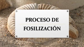 PROCESO DE
FOSILIZACIÓN
 