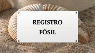 REGISTRO
FÓSIL
 