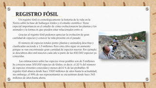 REGISTRO FÓSIL
Un registro fósil es cronológicamente la historia de la vida en la
Tierra sobre la base de hallazgos fósiles y el estudio científico. Tiene
especial importancia en el estudio de cómo evolucionaron las plantas y los
animales y la forma en que pueden estar relacionados entre sí.
Gracias al registro fósil podemos apreciar la evolución de gran
cantidad de especies y conocer la vida presente en el pasado.
El número de especies totales (entre plantas y animales) descritas y
clasificadas asciende a 1,5 millones. Pero esta cifra sigue en aumento
porque se van encontrando gran cantidad de especies nuevas. Por ejemplo,
se descubren diez mil insectos cada año a parte de las 850.000 especies ya
conocidas.
Las estimaciones sobre las especies vivas posibles son de 5 millones.
Se conocen unas 300.000 especies de fósiles, es decir, el 20 % del número
de especies vivientes conocidas y menos del 6 % de las probables. El
registro fósil abarca desde hace 3500 millones de años hasta la actualidad;
sin embargo, el 99% de sus representantes se encuentran desde hace 545
millones de años hasta ahora.
 