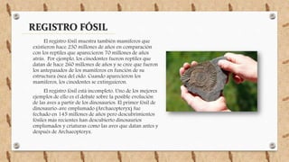 El registro fósil muestra también mamíferos que
existieron hace 230 millones de años en comparación
con los reptiles que aparecieron 70 millones de años
atrás. Por ejemplo, los cinodontes fueron reptiles que
datan de hace 260 millones de años y se cree que fueron
los antepasados de los mamíferos en función de su
estructura ósea del oído. Cuando aparecieron los
mamíferos, los cinodontes se extinguieron.
El registro fósil está incompleto. Uno de los mejores
ejemplos de ello es el debate sobre la posible evolución
de las aves a partir de los dinosaurios. El primer fósil de
dinosaurio-ave emplumado (Archaeopteryx) fue
fechado en 145 millones de años pero descubrimientos
fósiles más recientes han descubierto dinosaurios
emplumados y criaturas como las aves que datan antes y
después de Archaeopteryx.
REGISTRO FÓSIL
 