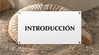 INTRODUCCIÓN
 