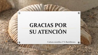 GRACIAS POR
SU ATENCIÓN
Cultura científica 1ºA Bachillerato
 