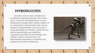 INTRODUCCIÓN
Los fósiles, son los restos o señales de la
actividad de organismos pasados. Estos restos,
que se conservan mayoritariamente en rocas
sedimentarias, pueden haber sufrido cambios en
su composición o deformaciones más o menos
intensas. La paleontología es la ciencia que se
ocupa del estudio de los fósiles, y dentro de esta,
están la paleobiología, que estudia los
organismos del pasado, la biocronología, que
estudia el tiempo en donde viven esos
determinados organismos y la tatonmía, que
estudia los procesos de fosilización.
 