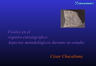 Fósiles en el
registro estratigráfico:
Aspectos metodológicos durante su estudio


                      César Chacaltana
 