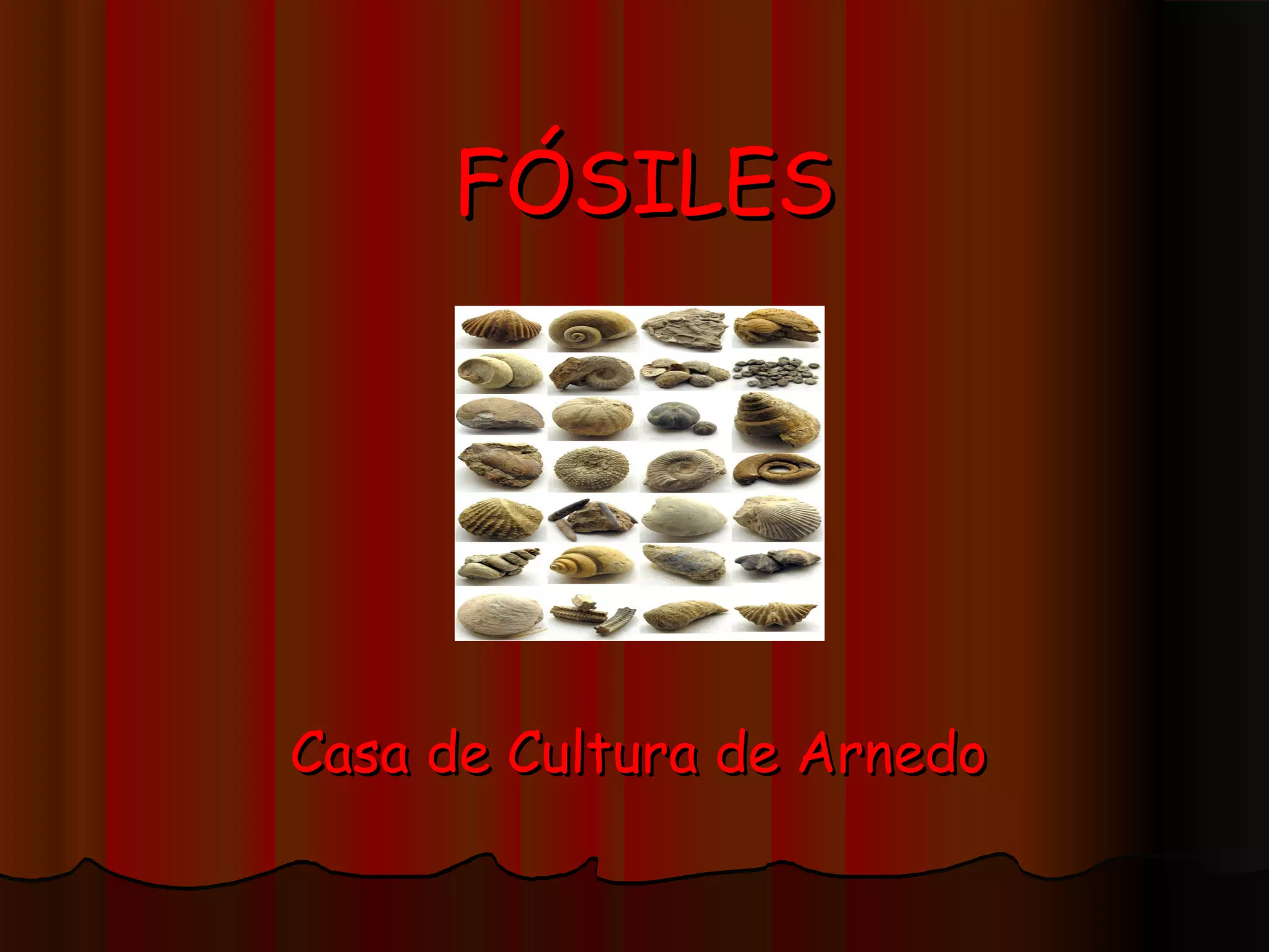 FÓSILES
Casa de Cultura de Arnedo