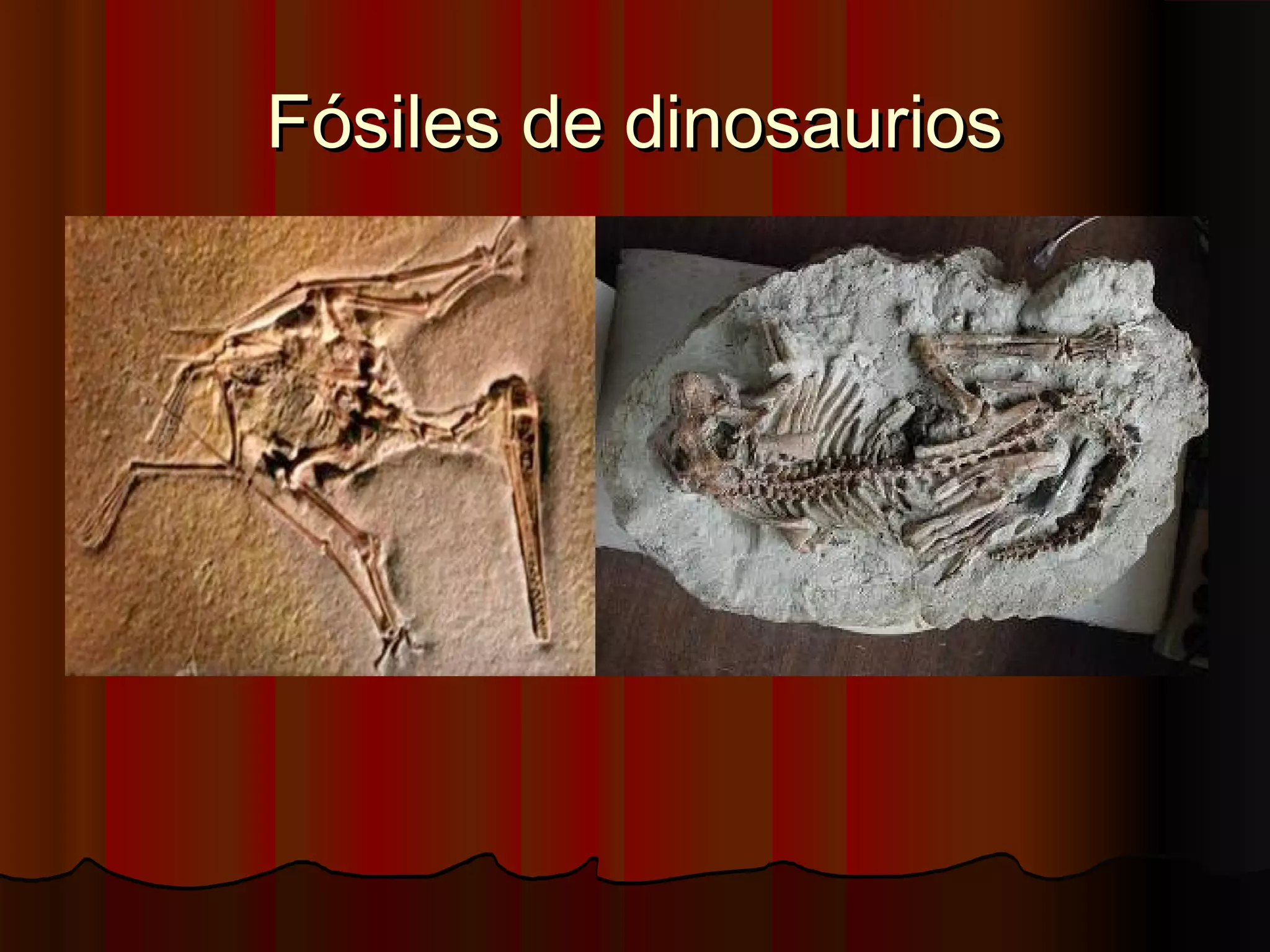 Fósiles de dinosaurios