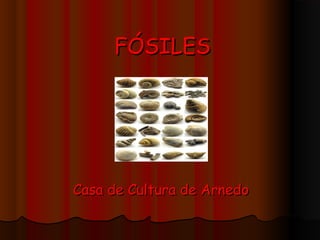 FÓSILES

Casa de Cultura de Arnedo

 