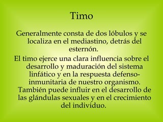 Timo Generalmente consta de dos lóbulos y se localiza en el mediastino, detrás del esternón.  El timo ejerce una clara influencia sobre el desarrollo y maduración del sistema linfático y en la respuesta defenso-inmunitaria de nuestro organismo. También puede influir en el desarrollo de las glándulas sexuales y en el crecimiento del individuo.   