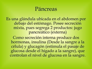 Páncreas Es una glándula ubicada en el abdomen por debajo del estómago. Posee secreción mixta, pues segrega 2 productos: jugo pancreático (externa) Como secreción interna produce dos hormonas, insulina (Desde la sangre a la célula) y glucagón (estimula el pasaje de glucosa desde el hígado a la sangre), que controlan el nivel de glucosa en la sangre. 