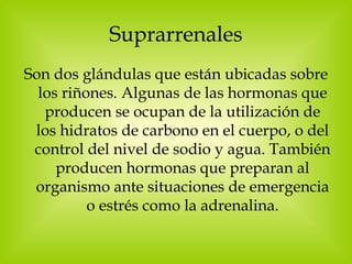 Suprarrenales Son dos glándulas que están ubicadas sobre los riñones. Algunas de las hormonas que producen se ocupan de la utilización de los hidratos de carbono en el cuerpo, o del control del nivel de sodio y agua. También producen hormonas que preparan al organismo ante situaciones de emergencia o estrés como la adrenalina. 