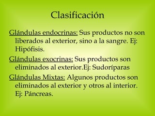 Clasificación Glándulas endocrinas:  Sus productos no son liberados al exterior, sino a la sangre. Ej: Hipófisis. Glándulas exocrinas:  Sus productos son eliminados al exterior.Ej: Sudoríparas Glándulas Mixtas:  Algunos productos son eliminados al exterior y otros al interior. Ej: Páncreas. 