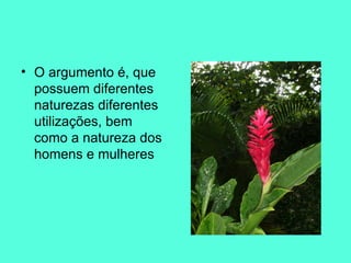 O argumento é, que possuem diferentes naturezas diferentes utilizações, bem como a natureza dos homens e mulheres 