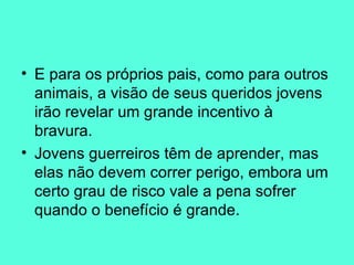 E para os próprios pais, como para outros animais, a visão de seus queridos jovens irão revelar um grande incentivo à bravura.  Jovens guerreiros têm de aprender, mas elas não devem correr perigo, embora um certo grau de risco vale a pena sofrer quando o benefício é grande.  