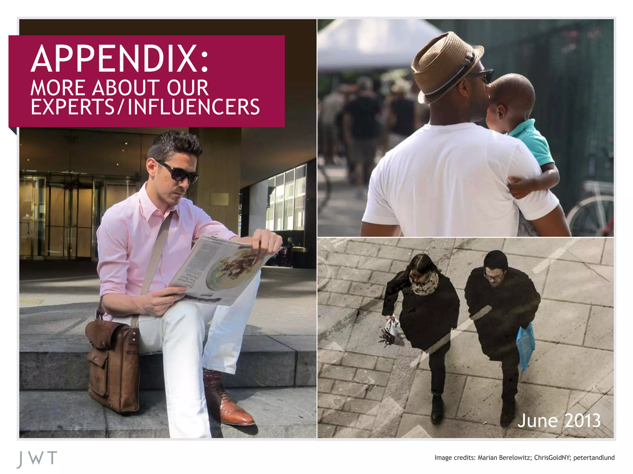 June 2013
Image credits: Marian Berelowitz; ChrisGoldNY; petertandlund
APPENDIX:
MORE ABOUT OUR
EXPERTS/INFLUENCERS
 