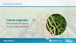 FSMA FRIDAYS
Hazard Analysis
Taenia saginata:
The physical hazard
in my leafy greens?
 