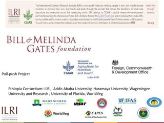 Technical and socio-cultural continuum in food safety management in informal markets: An example from resource-poor settings
