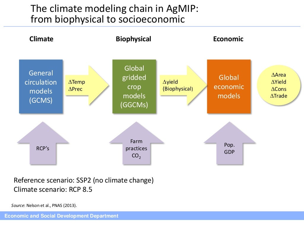How climate change may affect global food demand and supply in the lo…