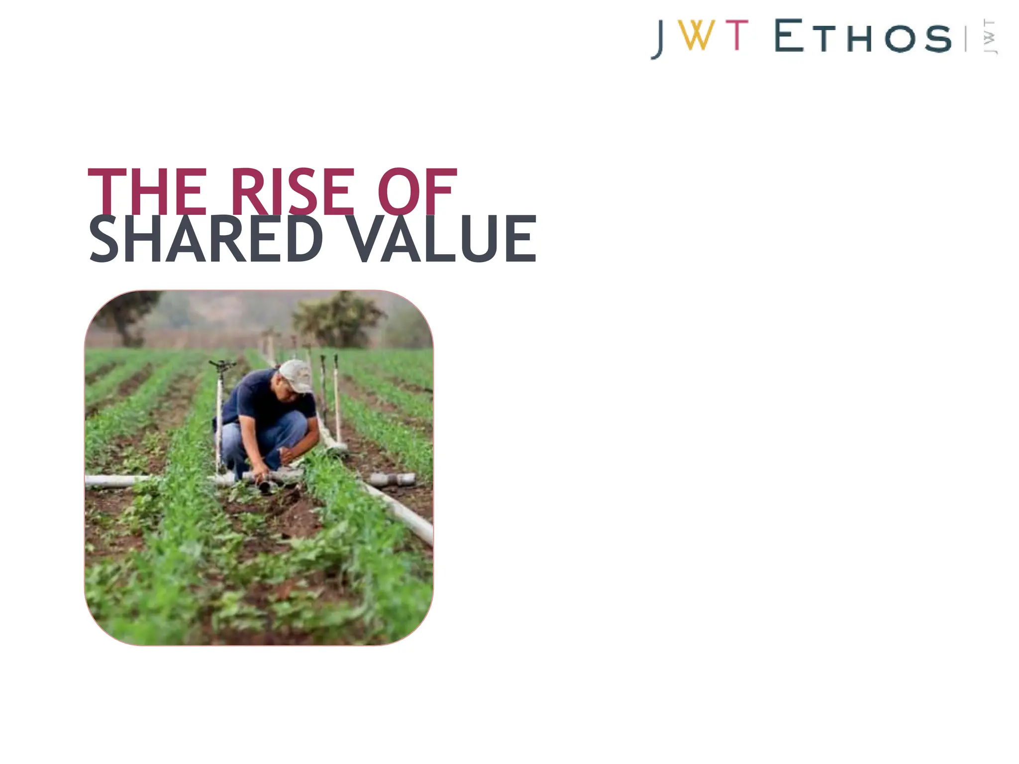 THE RISE OF
SHARED VALUE
 