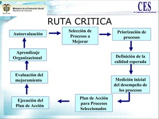 RUTA CRITICA
Autoevaluación
Selección de
Procesos a
Mejorar
Priorización de
procesos
Definición de la
calidad esperada
Medición inicial
del desempeño de
los procesos
Plan de Acción
para Procesos
Seleccionados
Ejecución del
Plan de Acción
Evaluación del
mejoramiento
Aprendizaje
Organizacional
 