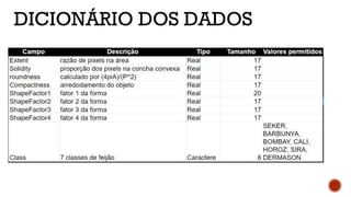 DICIONÁRIO DOS DADOS
 