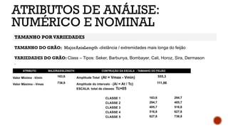 ATRIBUTOS DE ANÁLISE:
NUMÉRICO E NOMINAL
TAMANHO DO GRÃO: MajorAxisLength -distância / extremidades mais longa do feijão
VARIEDADES DO GRÃO: Class – Tipos: Seker, Barbunya, Bombayer, Cali, Horoz, Sira, Dermason
.
TAMANHO PORVARIEDADES
ATRIBUTO MAJORAXISLENGTH CONTRUÇÃO DA ESCALA - TAMANHO DO FEIJÃO
Valor Mínimo -Vmin 183,6 Amplitude Total (At = Vmax - Vmin) 555,3
Valor Máximo - Vmax 738,9 Amplitude do intervalo - (Ai = At / Tc) 111,06
ESCALA: total de classes: Tc=05
CLASSE 1 183,6 294,7
CLASSE 2 294,7 405,7
CLASSE 3 405,7 516,8
CLASSE 4 516,8 627,8
CLASSE 5 627,8 738,9
 