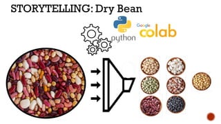 STORYTELLING: Dry Bean
 