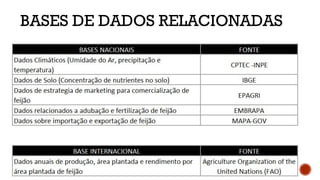 BASES DE DADOS RELACIONADAS
 