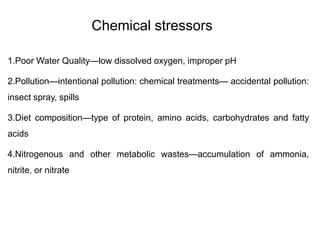 Chemical stressors
1.Poor Water Quality—low dissolved oxygen, improper pH
2.Pollution—intentional pollution: chemical treatments— accidental pollution:
insect spray, spills
3.Diet composition—type of protein, amino acids, carbohydrates and fatty
acids
4.Nitrogenous and other metabolic wastes—accumulation of ammonia,
nitrite, or nitrate
 