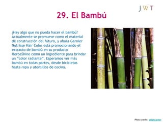 29. El Bambú
¿Hay algo que no pueda hacer el bambú?
Actualmente se promueve como el material
de construcción del futuro, y...