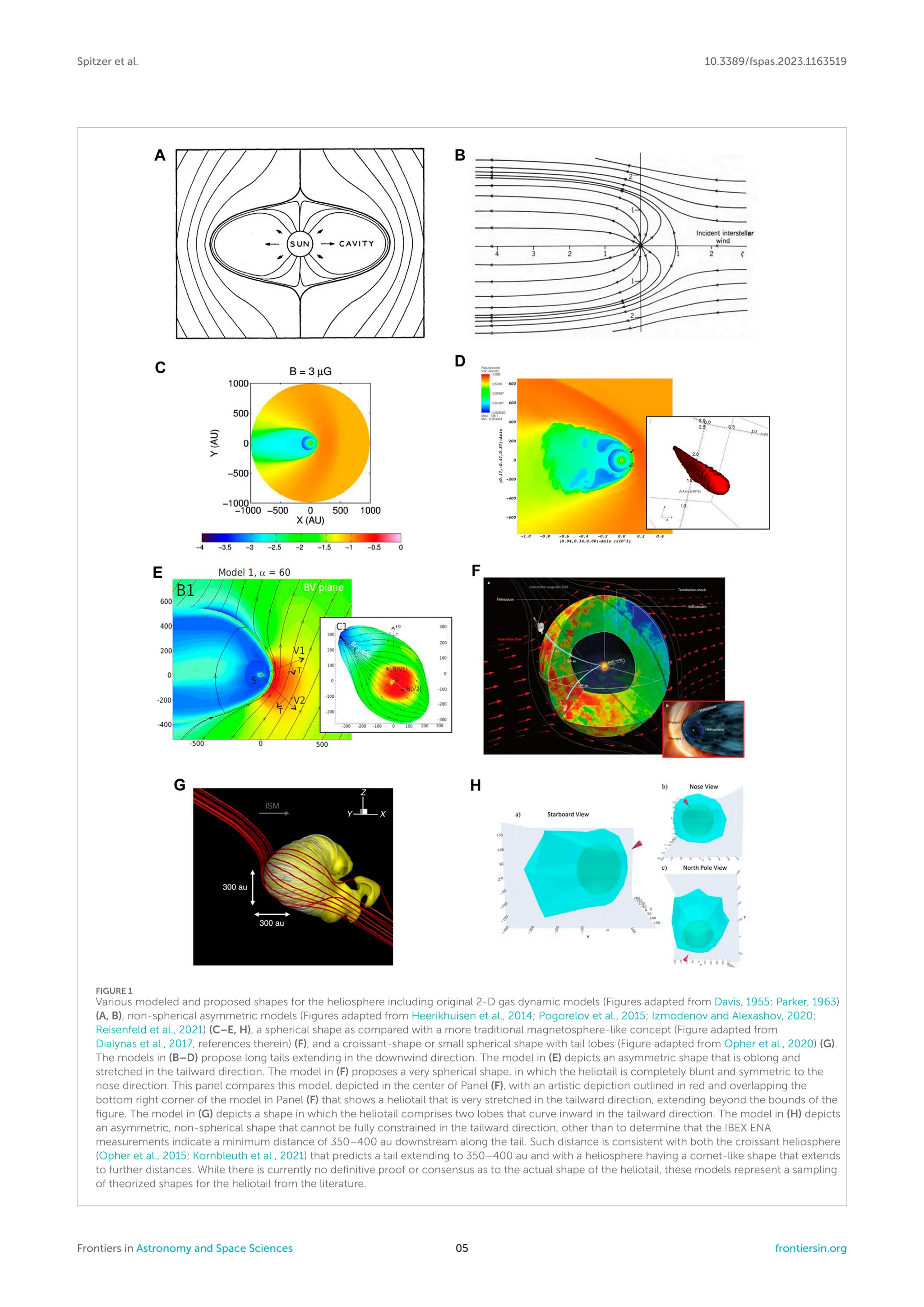 Spitzer et al. 10.3389/fspas.2023.1163519
FIGURE 1
Various modeled and proposed shapes for the heliosphere including original 2-D gas dynamic models (Figures adapted from Davis, 1955; Parker, 1963)
(A, B), non-spherical asymmetric models (Figures adapted from Heerikhuisen et al., 2014; Pogorelov et al., 2015; Izmodenov and Alexashov, 2020;
Reisenfeld et al., 2021) (C–E, H), a spherical shape as compared with a more traditional magnetosphere-like concept (Figure adapted from
Dialynas et al., 2017, references therein) (F), and a croissant-shape or small spherical shape with tail lobes (Figure adapted from Opher et al., 2020) (G).
The models in (B–D) propose long tails extending in the downwind direction. The model in (E) depicts an asymmetric shape that is oblong and
stretched in the tailward direction. The model in (F) proposes a very spherical shape, in which the heliotail is completely blunt and symmetric to the
nose direction. This panel compares this model, depicted in the center of Panel (F), with an artistic depiction outlined in red and overlapping the
bottom right corner of the model in Panel (F) that shows a heliotail that is very stretched in the tailward direction, extending beyond the bounds of the
figure. The model in (G) depicts a shape in which the heliotail comprises two lobes that curve inward in the tailward direction. The model in (H) depicts
an asymmetric, non-spherical shape that cannot be fully constrained in the tailward direction, other than to determine that the IBEX ENA
measurements indicate a minimum distance of 350–400 au downstream along the tail. Such distance is consistent with both the croissant heliosphere
(Opher et al., 2015; Kornbleuth et al., 2021) that predicts a tail extending to 350–400 au and with a heliosphere having a comet-like shape that extends
to further distances. While there is currently no definitive proof or consensus as to the actual shape of the heliotail, these models represent a sampling
of theorized shapes for the heliotail from the literature.
Frontiers in Astronomy and Space Sciences 05 frontiersin.org
 