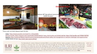 Food safety performance in animal-source food value chains