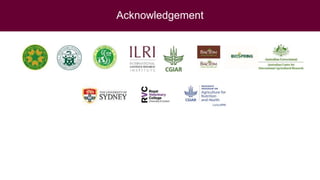 Food safety performance in animal-source food value chains