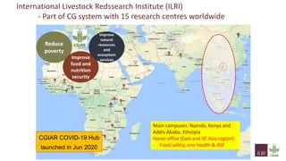 Food safety performance in animal-source food value chains